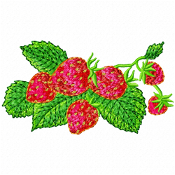 Strawberry Embroidery Design 2 Strawberry Embroidery Design 2